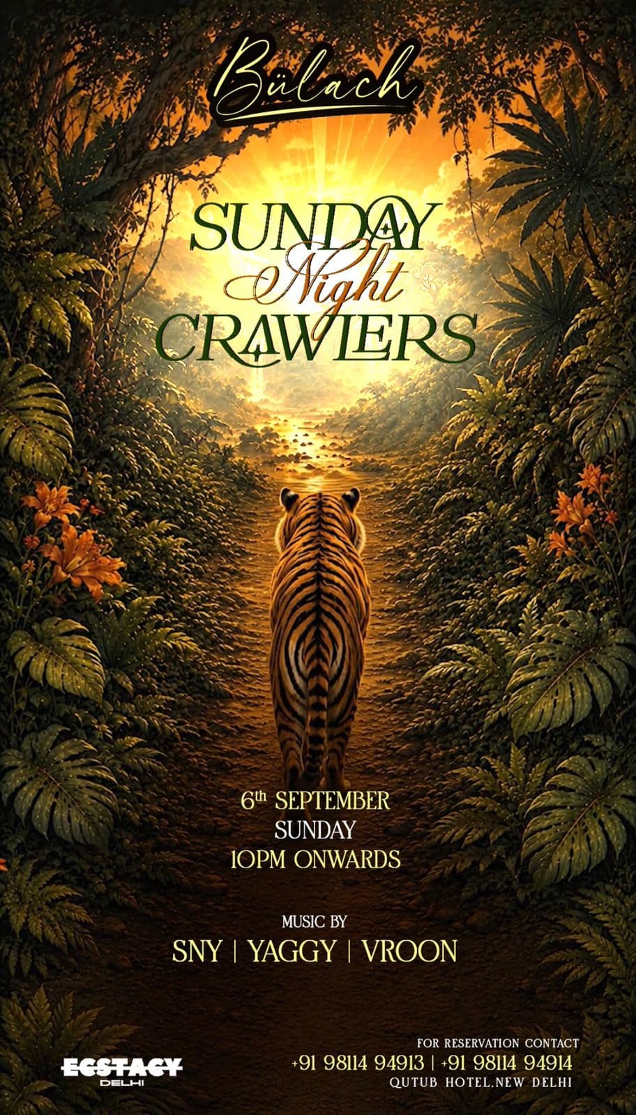 NIGHT CRAWLERS